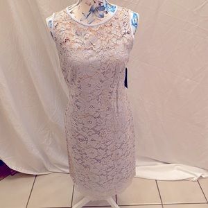 Lauren RalphLauren size 8 fitted midi elegant whisper blue sleeveless lace dress